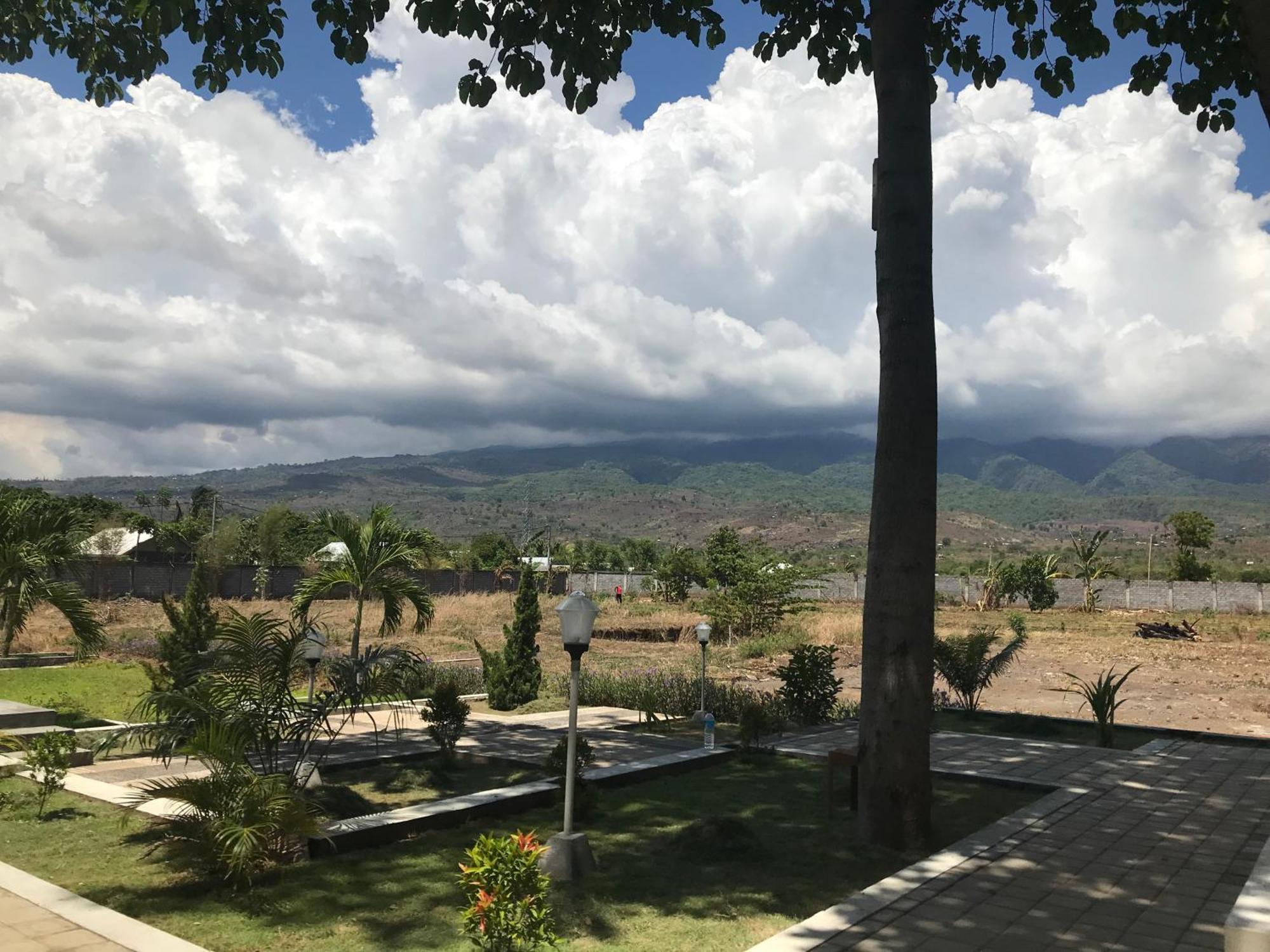 Pohon Purba Resort & Restaurant Labuhan Pandan Kültér fotó