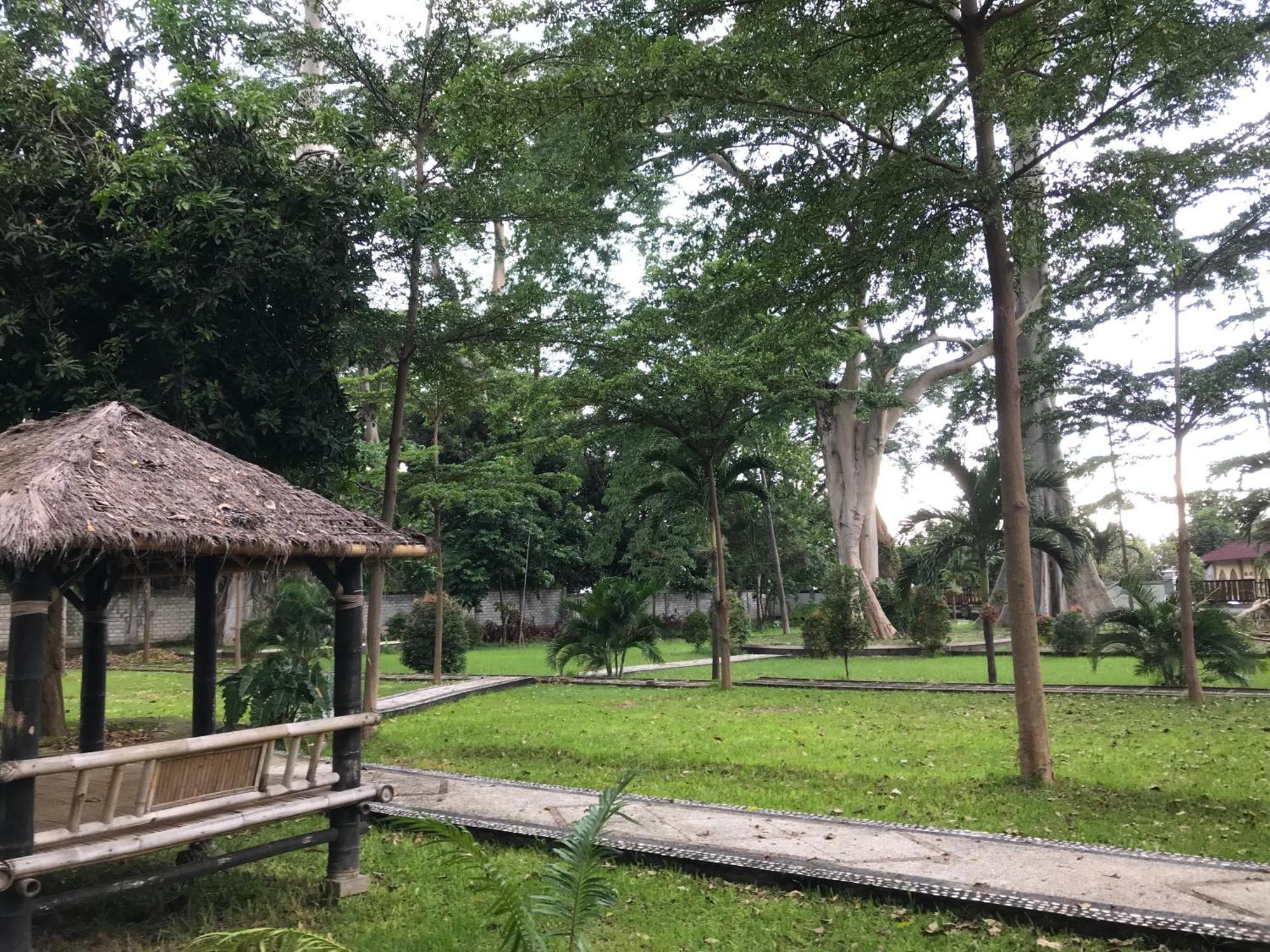 Pohon Purba Resort & Restaurant Labuhan Pandan Kültér fotó