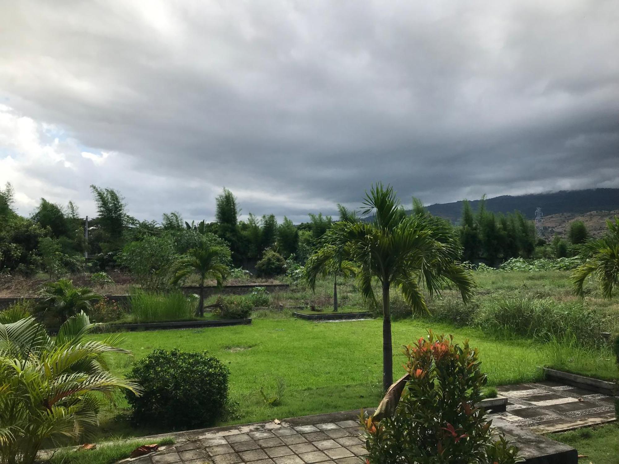 Pohon Purba Resort & Restaurant Labuhan Pandan Kültér fotó