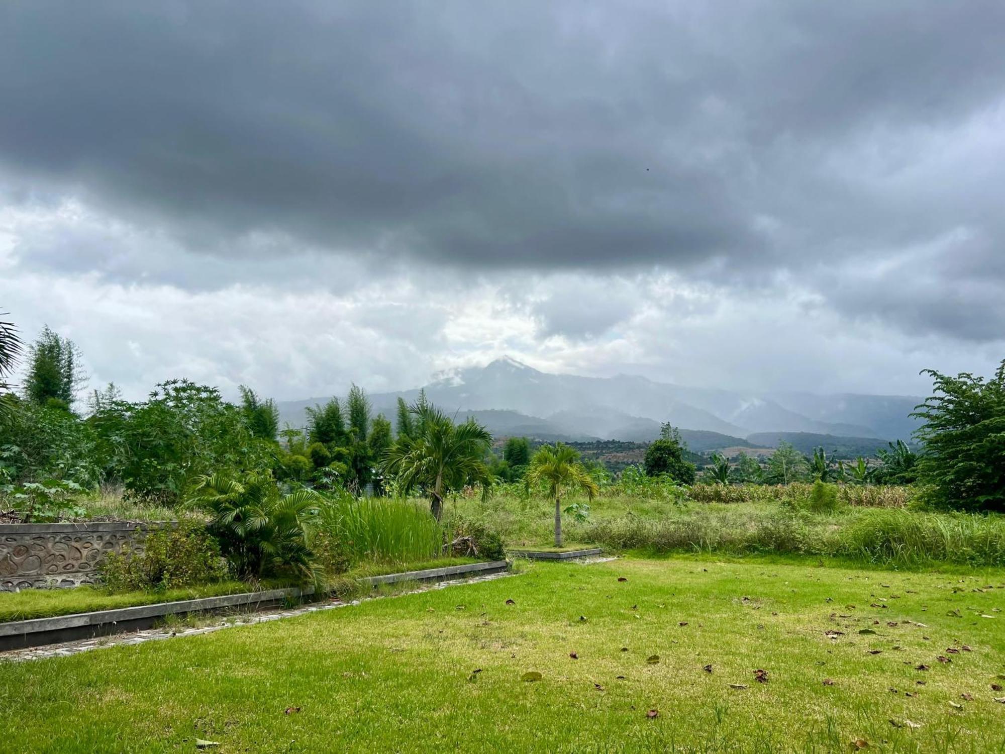 Pohon Purba Resort & Restaurant Labuhan Pandan Kültér fotó